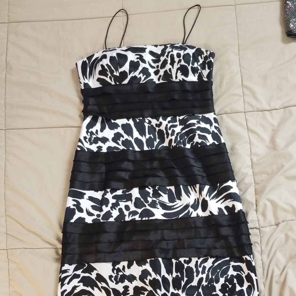 Collection Dressbarn dress